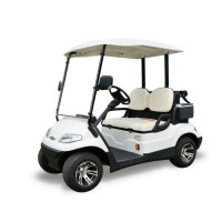 Wholesale 2 Seater Electric Golf Car for Golf Course Use