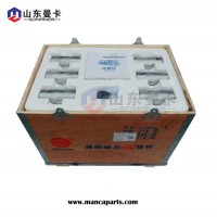 Engine Piston Kits for Weichai Engine with 612600900075