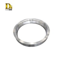 Densen Customized Machining Stainless Steel Hot Forging Gear Ring