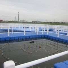 Plastic Floating Pontoon Cube Fish Farm Cages图1