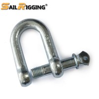 China Marine European D Shackle Supplier