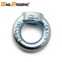 M22 Machinery Galvanized Forged Steel DIN 582 Eye Nut