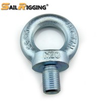 Rigging DIN580 Carbon Steel Drop Forged Galvanized Lifting Eye Bolt with Metric Thread