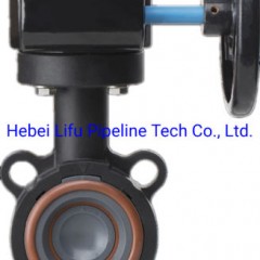 High Quality Plastic Lug Butterfly Valve UPVC Worm Gear Lug Butterfly Valve UPVC Wafer Lug Butterfly图1