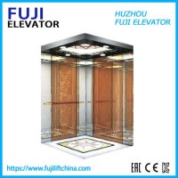 Person Small Size Machine Roomless Sightseeing Home Lift Villa Passenger Elevator