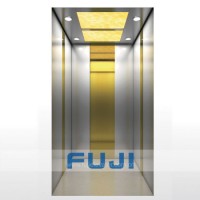 FUJI New Design Fashinon Small Home Lift Villa Elevator for Sale