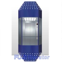 FUJI Observation Elevator Lift for Sale (FJ-GA07)