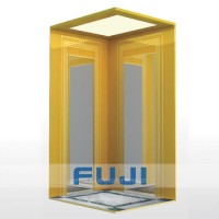 FUJI Good Prices of Villa Lift Residential Elevators