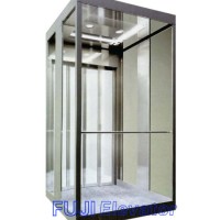 FUJI Home Elevator Villa Lift for Sale (HD-BT05)