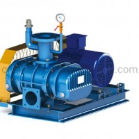 Double Oil Case Roots Blower for Pheumatic  Fishery