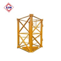 Tower Crane 2m*2m*3m L69 Series Mast Section for Tower Crane