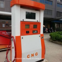 Professional CNG Dispenser with Mass Flow Meter