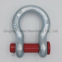 HDG Us Type G213 Round Pin Shackles