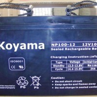 12V85ah-Lead Acid Storage Battery (NP85-12)