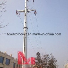 110kv Single Circuit Tension Terminal Transmission Line Monopole图1