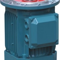 (1/4HP-10HP) High Efficiency Flange Mounted Tefc Three Phase AC Motor