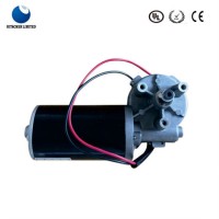 Low Speed High Torque DC Motor for Garden Tool with Reducer Gear Box