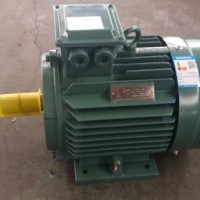 Yx3/Ye2-Ie2 High Efficiency Induction Motor (IE2  H80-132)