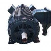 Ht Motor- Electric Motor-Totally Enclosed Cast Iron High Voltage Motor