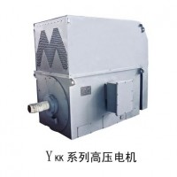 Y  Ykk Low Voltage High Power Three Phase Induction Motor