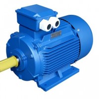 Double Speed Motor- Multi-Speed Motors