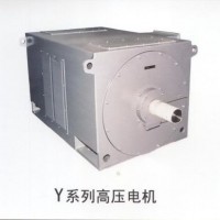 High Voltage Three Phase Induction Motor (Y series(IP23))