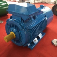 Y2 Series Iron-Shell Low Pressure Big Power Motors-Electric Motor