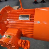 Yb3-Ie2 Explosion Proof Motor-Exdiibt4 (IE2  H80-132)