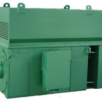 3kv-11kv Asynchronous Motors/ Electric Motor/ Ht Motor/ Hv Motor