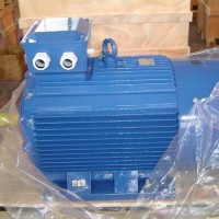 Anp/Air General Purpose Three Phase Induction Motor (GOST Standard)