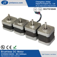 24V 36V BLDC Small Electrical Brushless DC Motor