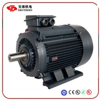 30kw 22kw 15kw 7.5kw 380V 660V IP55 Three Phase Big Power AC Induction Asynchronous Electric Motor Y