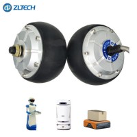 Brushless DC Motor 4.5inch 6n. M 24V 150kg Load Hub Motor Wheel for Robot