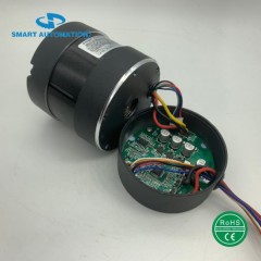 80mm Controller Integrated Brushless DC Motors for Vacuum Pumps and Automatic Machines图1