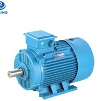 Y2 Series Low Voltage General Motor IC411 Cooling Type