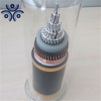 Electric Single Core XLPE Insulated Copper Wire Shield 11kv Aluminum Power Armour Cable