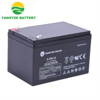 Yangtze Battery 2*6V 12V 12ah 6 Dzm 12 2hr 4*12V 48V 12ah Battery Charger