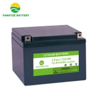 Yangtze 12V 32ah 33ah Lithium Iron Phosphate Battery Price Cell