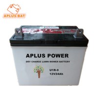 U1r9 12V24ah Dry Charge Lead Acid Battery for Lawm Mower