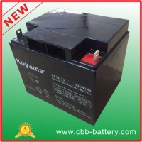 12V 42ah Lead Acid AGM Battery for Emergency Lighting