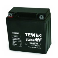 Tewe 12V 9ah Sealed Maintenance Free Motorcycle Battery