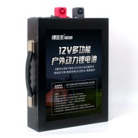 Shengli Energy LiFePO4 Battery 12V 120ah Lithium Ion Battery Storage+Batteries Accept OEM/ODM