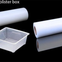 Anti Static Colorful Rigid 4*8 PP Plastic Material Polycarbonate Vacuum Formimg Sheet Rolls for Food