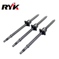 Promised Quality Miniature Ball Screw manufacture by Ryk with Competitive Price