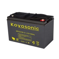 Rechargeable 12V 100ah Gel Deep Cycle Storage Battery