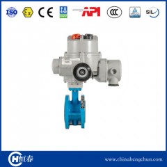 Butterfly Valve Actuator图1