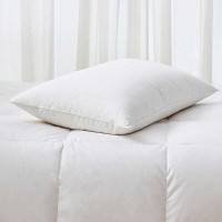 Star Hotel Use White Color Soft Goose Down Pillow