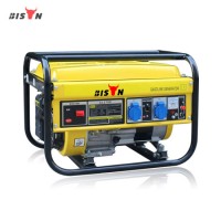 Bison Generator Home Use 2kw Portable Petrol Electric Generator Power Generator