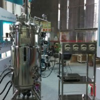 Biopharmaceuticals Stainless Steel Fermentor System (Auto/ Manual SIP)