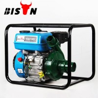 Bison Gasoline/Petrol Engine Cast Iron High Pressure Water Pump Set for Brazil